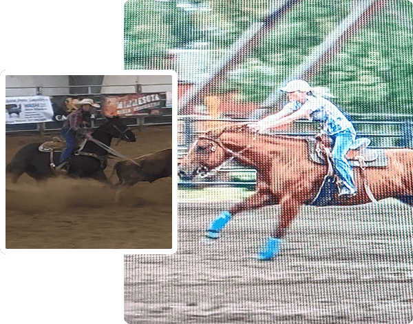 Jockey racing a horse at full speed on a dirt track.