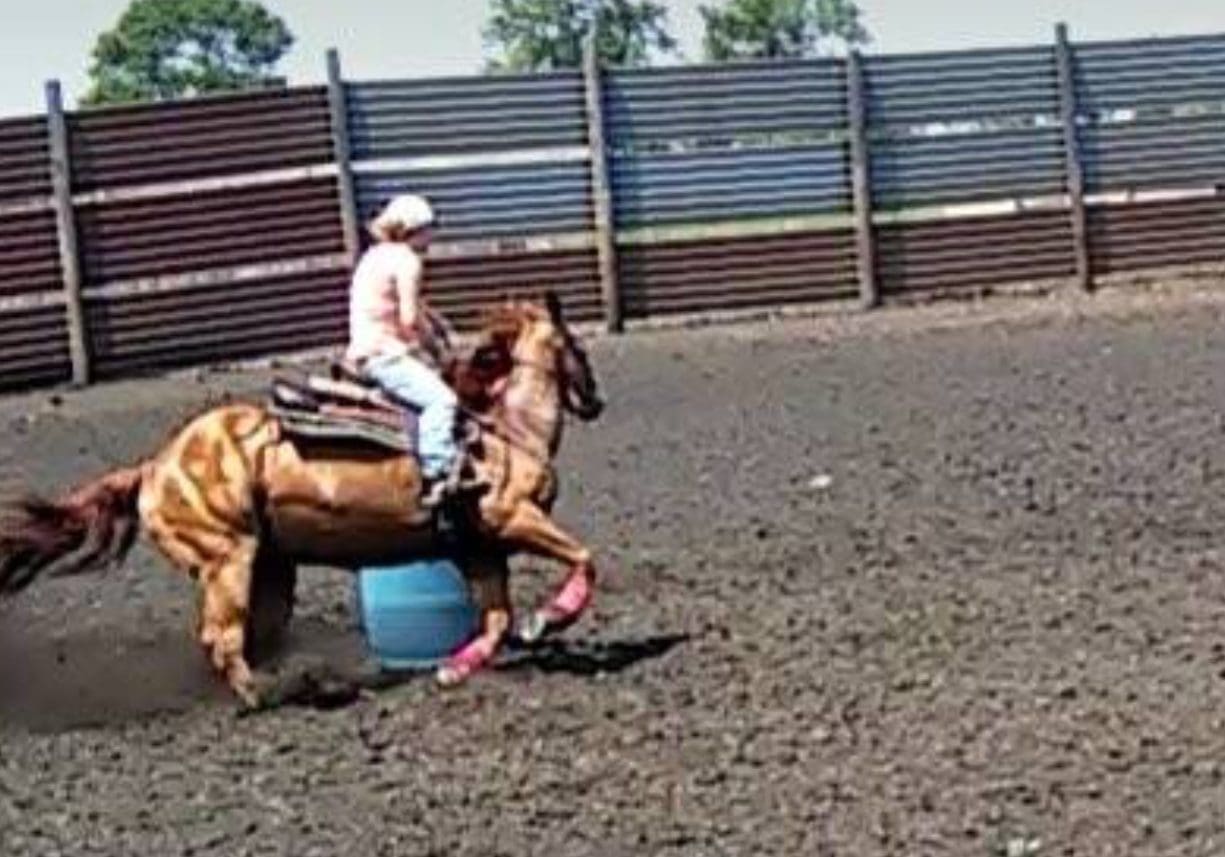 Person riding a horse in a fenced arena.
