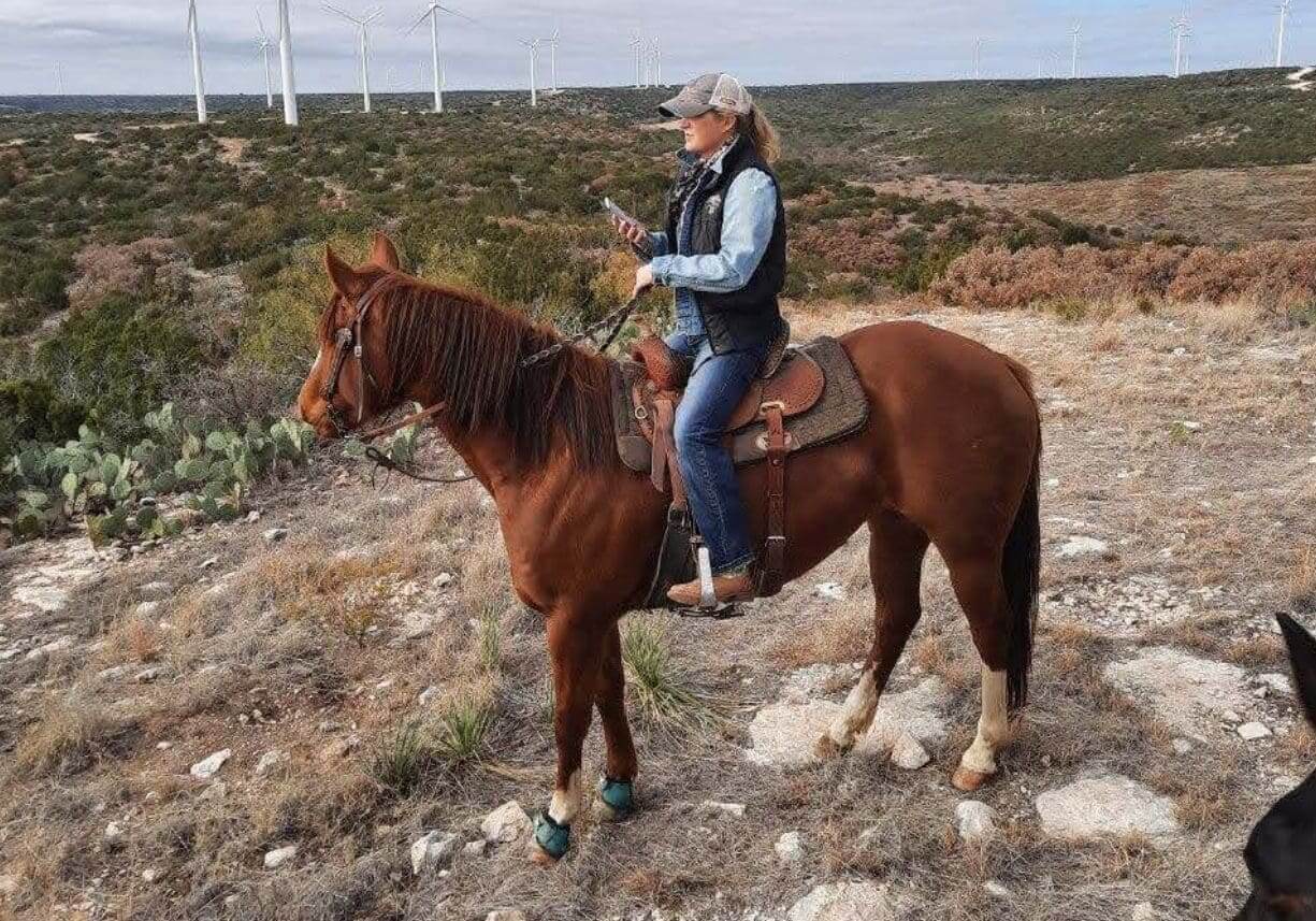 Person riding a brown horse in a rocky landscape with wind turbines in the background.