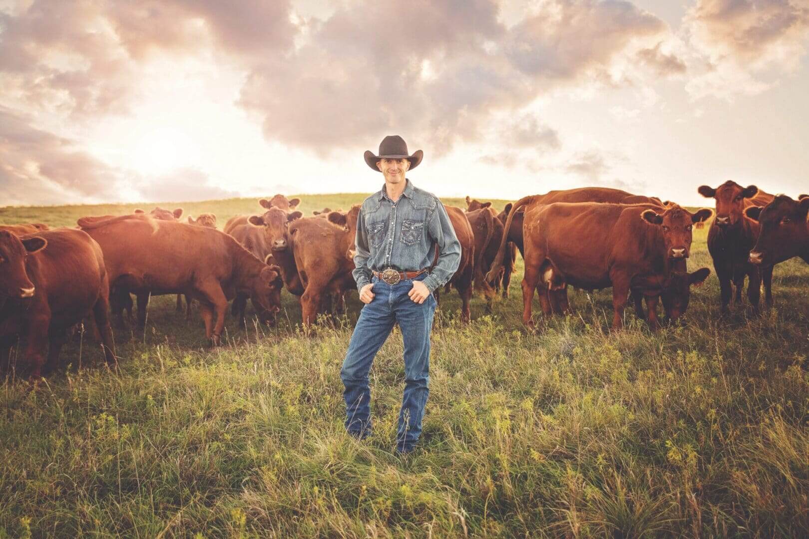 A cowboy stands confidently among cattle during sunset in a grassy field.